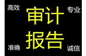 高新審計(jì)是什么意思？