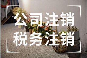 公司稅務(wù)注銷流程步驟