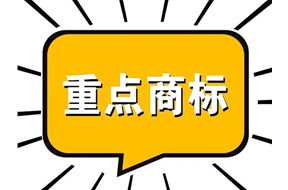 納入廣東省重點(diǎn)商標(biāo)保護(hù)名錄的好處有哪些？