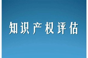 知識(shí)產(chǎn)權(quán)評(píng)估方法有哪些種類(lèi)？