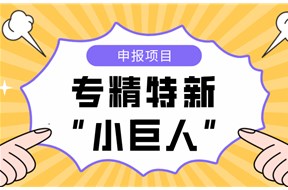 2023年深圳國家級專精特新小巨人企業(yè)認定申報指南