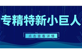 2023年深圳專(zhuān)精特新“小巨人”企業(yè)認(rèn)定標(biāo)準(zhǔn)