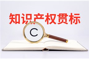 2023年深圳市知識產(chǎn)權(quán)管理規(guī)范貫標(biāo)認(rèn)證后資助項目申報指南
