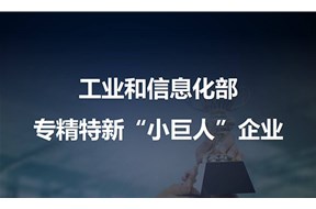 2024年深圳寶安區(qū)國家專精特新“小巨人”認定獎勵申報指南