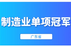 2024年廣東省制造業(yè)單項(xiàng)冠軍企業(yè)培育遴選申報(bào)指南