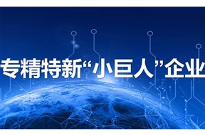 2024年深圳專精特新小巨人企業(yè)申報指南