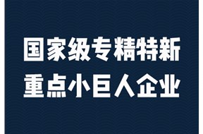 2024年深圳重點(diǎn)專精特新小巨人企業(yè)申報(bào)條件
