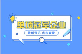 2024年深圳第二批市級制造業(yè)單項(xiàng)冠軍企業(yè)認(rèn)定申報(bào)指南