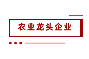 2024年深圳市級重點(diǎn)農(nóng)業(yè)龍頭企業(yè)認(rèn)定申報(bào)指南